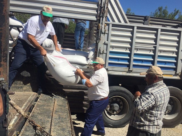 FEKE’DE ÜRETİCİLERE YEM DESTEĞİ