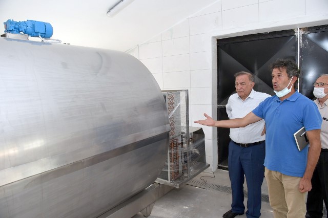 SEYHAN BELEDİYESİ MANDIRA KURDU