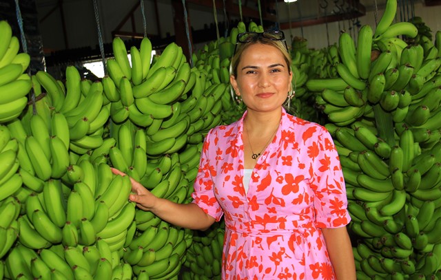 TÜRKİYE’DE YENEN HER İKİ MUZDAN BİRİ ANAMUR’DAN
