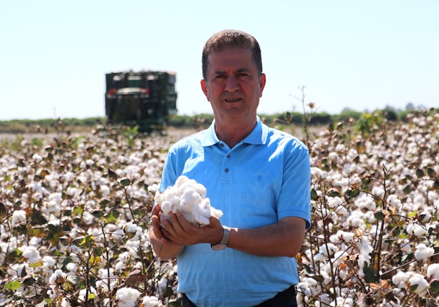 FİYATI 9 LİRAYA ULAŞAN PAMUK ÜRETİCİSİNİ SEVİNDİRDİ