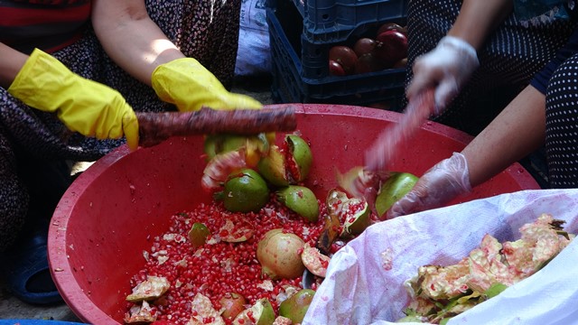 NARIN EKŞİLİ ŞİFA YOLCULUĞU BAŞLADI