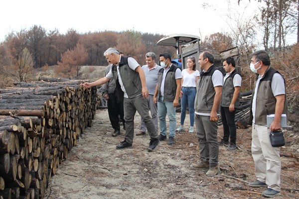 Karatepe’ye yeşillendirme çalışmaları sürüyor