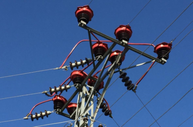 Toroslar EDAŞ’ın yalıtımlı hatlarında kuş çarpılmaları önleniyor