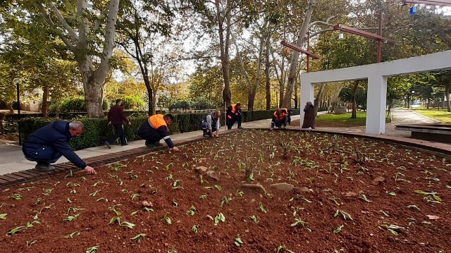 Kozan’da parklar 225 bin çiçek ile kışa hazırlanıyor