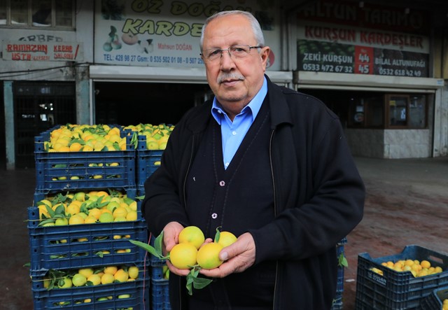 ADANA’DA LİMONUN KİLOSU HALDE 25 KURUŞA DÜŞTÜ
