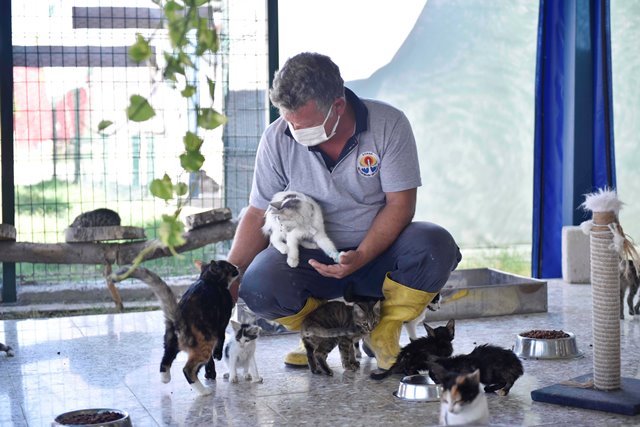 400 NOKTADA SOKAK CANLILARI İÇİN BESLEME