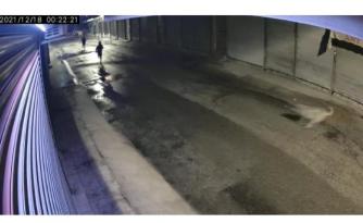 Bakkala giren hırsızları köpek kovaladı