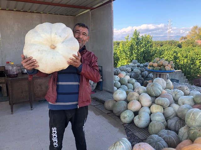 23 KİLOLUK DEV BAL KABAĞI