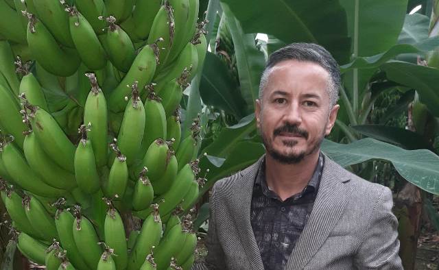 İTHAL MUZA EK VERGİ UYGULAMASI YERLİ ÜRETİCİYİ SEVİNDİRDİ