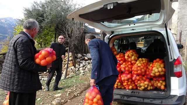 Köylülere narenciye dağıtıldı