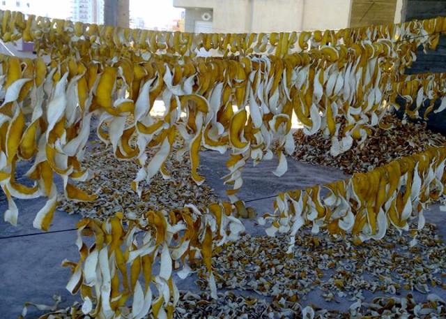 PORTAKAL KABUĞU EKONOMİYE KAZANDIRILIYOR