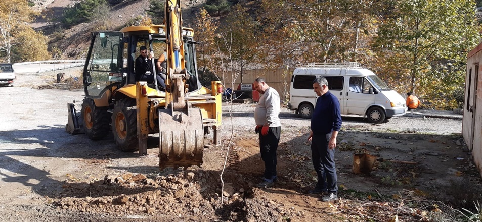 Yangın bölgesinde mesire alanı oluşturuldu