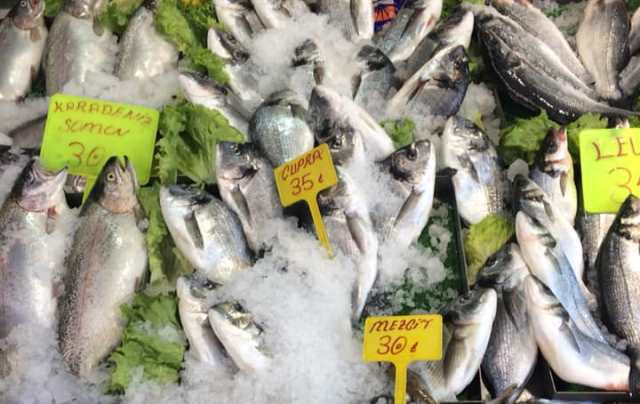 BALIK BOLLAŞTI, FİYATLAR DÜŞTÜ