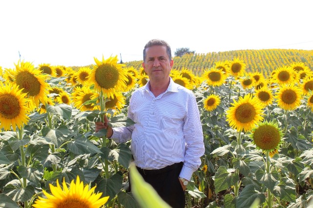 “DESTEK ARTARSA, AYÇİÇEĞİ ÜRETİMİ DE ARTAR”