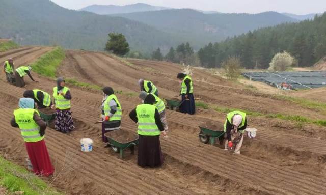OGM’DEN KADIN ÜRETİCİLERE 8.5 MİLYON TL DESTEK