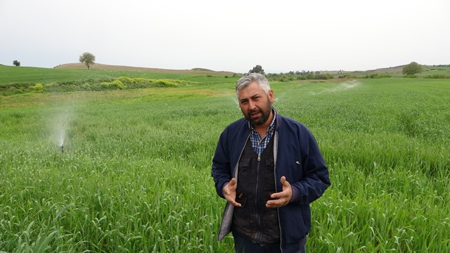 Kuraklık buğday üreticisine 30 yıl sonra tarla sulattı