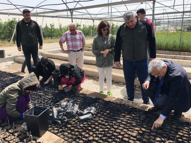 YILMAZ: “8 MİLYON FİDAN ÜRETECEĞİZ”