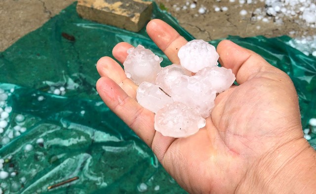 Şiddetli dolu yağışı tarım arazileri ve araçlara zarar verdi