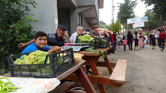 FEKE’DE TAPAN KÜLTÜR VE ÜZÜM ŞENLİĞİ