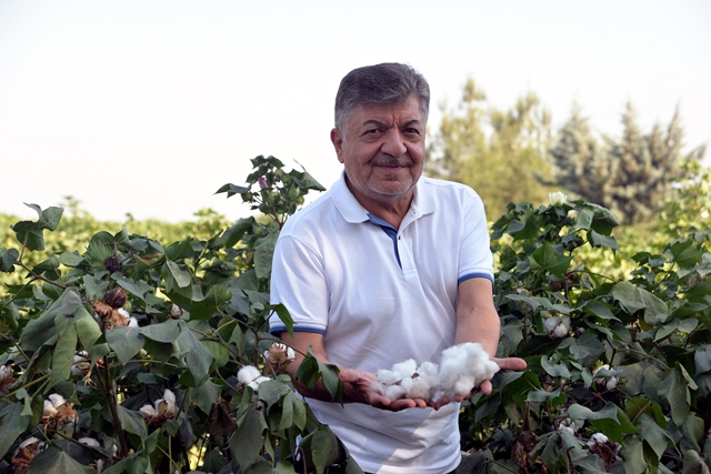 KORKUT: PAMUK KİLO FİYATI 22 TL’DEN AZ OLMAMALI