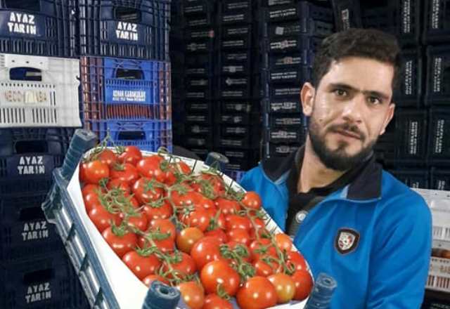 DOMATES FİYATLARI UÇTU