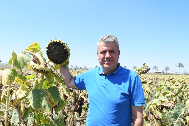 BARUT: “İTHALAT İÇİN YİNE GÜMRÜK VERGİSİNİ DÜŞÜRDÜLER”