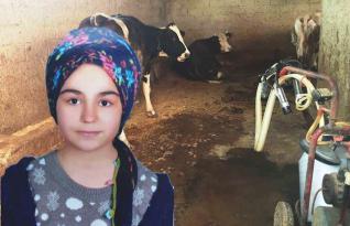 AHIRA SÜT SAĞMAYA GİDEN KIZ AKIMA KAPILARAK ÖLDÜ