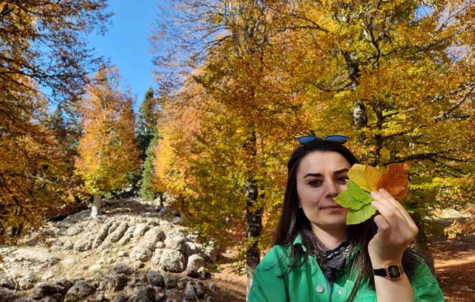 YİRCE KAYIN ORMANI ZİYARETÇİLERİNE TABLODAYMIŞ HİSSİ YAŞATIYOR